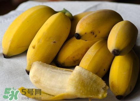 皇帝蕉是不是香蕉？皇帝蕉與普通香蕉區(qū)別