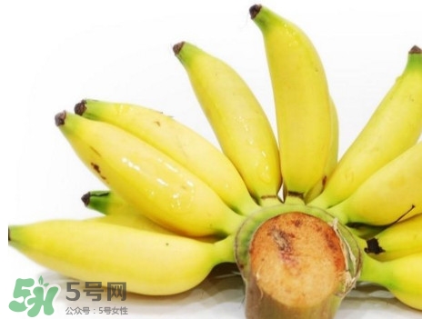皇帝蕉是轉(zhuǎn)基因的嗎？皇帝蕉產(chǎn)地是哪里？