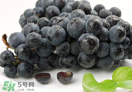 無籽葡萄有哪些品種？無籽葡萄多少錢一斤？