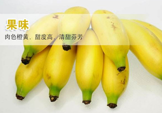 皇帝蕉多少錢一斤？2017皇帝蕉價格
