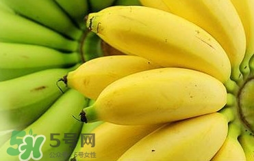 帝王蕉多少錢一斤？帝王蕉是轉(zhuǎn)基因香蕉嗎