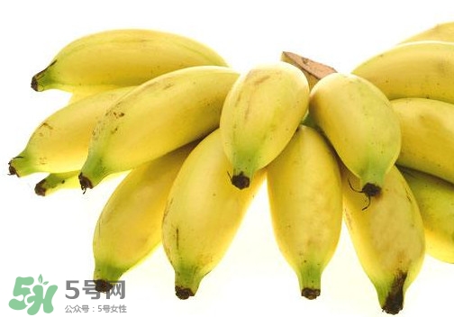 帝王蕉是芭蕉嗎？帝王蕉和芭蕉的區(qū)別
