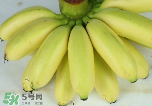 帝王蕉和皇帝蕉有區(qū)別嗎？帝王蕉和普通香蕉區(qū)別