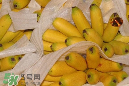 皇帝蕉是不是香蕉？皇帝蕉與普通香蕉區(qū)別