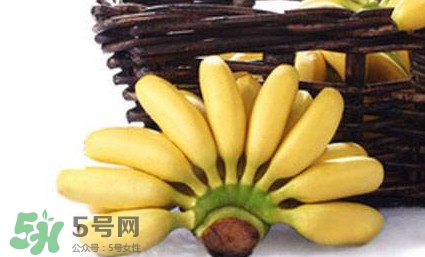 帝王蕉是芭蕉嗎？帝王蕉和芭蕉的區(qū)別
