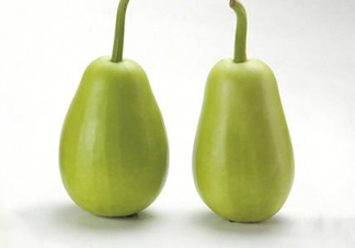 苦瓠子有毒嗎？苦瓠子中毒怎么辦？