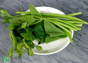 南瓜葉怎么處理？南瓜葉怎么炒？