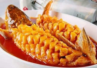 松鼠魚是哪里的菜？松鼠魚是什么菜系？