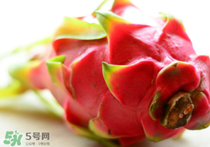 七月份可以種火龍果嗎？火龍果什么時(shí)候種植？