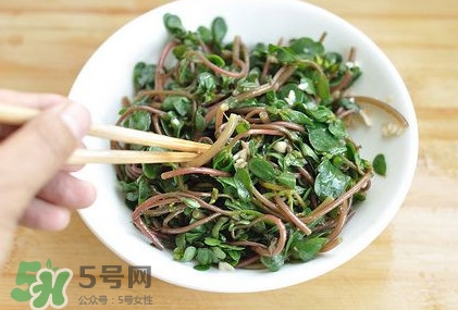 螞蚱菜怎么吃？螞蚱菜怎么做好吃
