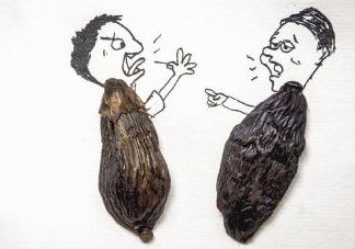 口味王檳榔是什么東西？口味王檳榔怎么吃