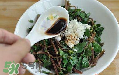 螞蚱菜怎么炒好吃？螞蚱菜做法有哪幾種