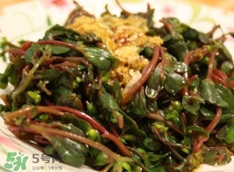 螞蚱菜怎么炒好吃？螞蚱菜做法有哪幾種