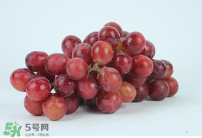 紅提多少錢一斤？紅提子多少錢一斤？