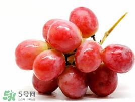 紅提可以放冰箱嗎？紅提放冷庫怎么保存？