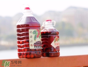 楊梅酒一次喝多少？楊梅酒喝多了會怎樣？