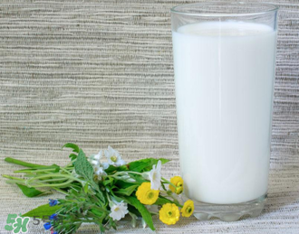 脫脂奶粉哪個(gè)牌子好？脫脂奶粉什么品牌的好？