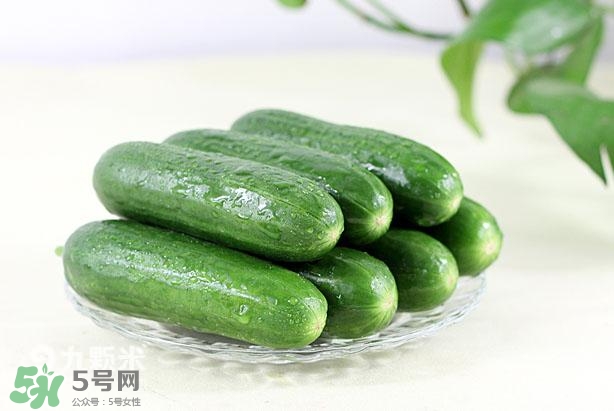 水果黃瓜常溫能放多久？水果黃瓜怎么保存？