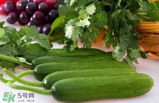 水果黃瓜是轉(zhuǎn)基因嗎？水果黃瓜的功效和作用