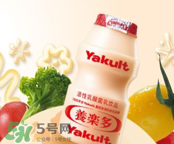養(yǎng)樂(lè)多能自制嗎？自制養(yǎng)樂(lè)多的方法