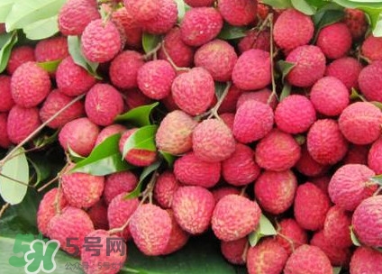 增城荔枝節(jié)是什么時候？2017年增城荔枝節(jié)時間