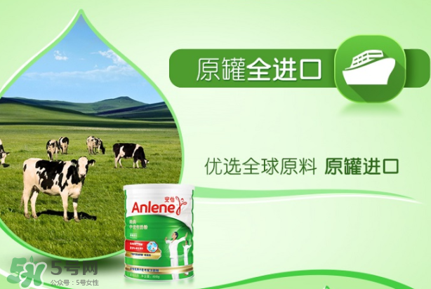 Anlene安怡奶粉怎么樣？Anlene安怡奶粉好不好？