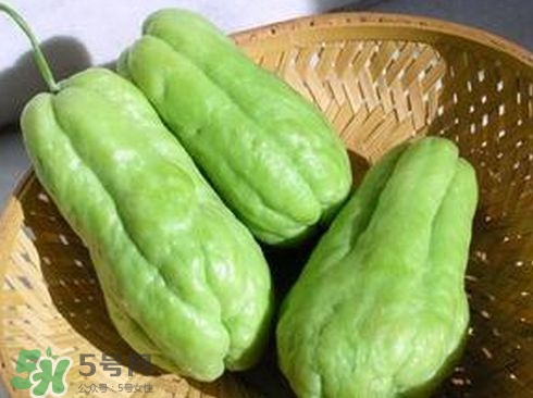佛手瓜發(fā)芽了可以吃嗎？佛手瓜怎么吃？