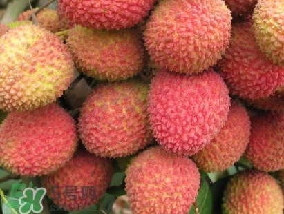 增城和從化荔枝哪個(gè)出名？哪種荔枝最有名