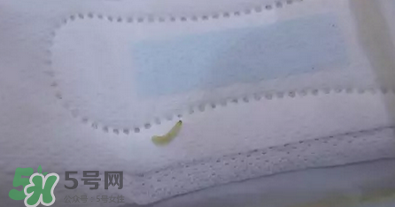 高潔絲衛(wèi)生巾有蟲嗎？高潔絲衛(wèi)生巾有熒光劑