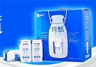 純甄酸奶過(guò)期還能喝嗎？純甄酸奶過(guò)期一點(diǎn)點(diǎn)要緊嗎？