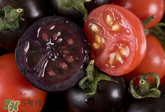 藍(lán)莓和番茄能一起吃嗎？藍(lán)莓和西紅柿能一起吃嗎？