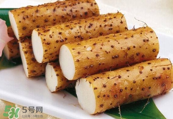 懷山藥是生山藥嗎？懷山藥是鐵棍山藥嗎