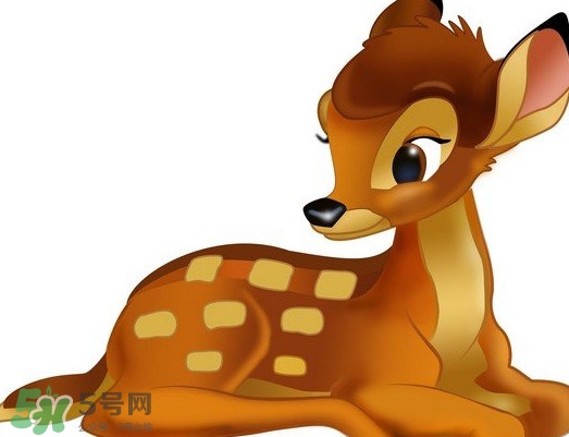 斑比跪是什么意思？斑比跪是什么坐勢(shì)
