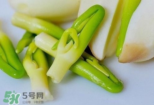 蓮子心與什么搭配好？蓮子心泡茶什么人不能喝