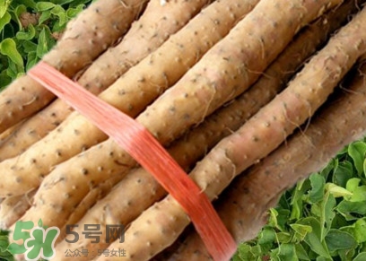 懷山藥可以生吃嗎？懷山藥怎么吃最好