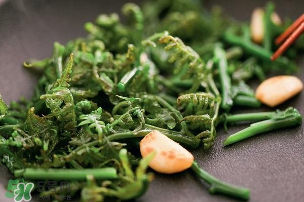 龍須菜怎么清洗？龍須菜怎么處理？
