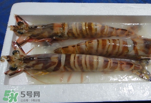 竹節(jié)蝦該怎么吃？竹節(jié)蝦怎么處理干凈