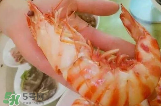 九節(jié)蝦是海蝦嗎？九節(jié)蝦是海蝦還是河蝦