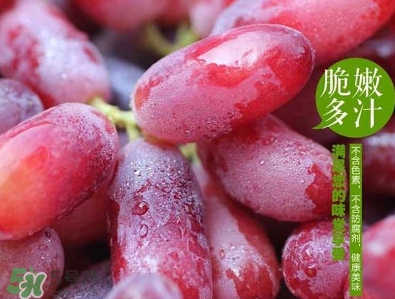 無(wú)籽紅提有涂避孕藥嗎？無(wú)籽紅提是轉(zhuǎn)基因嗎？