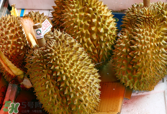 托曼尼榴蓮怎么才是熟？托曼尼榴蓮怎么看生熟？
