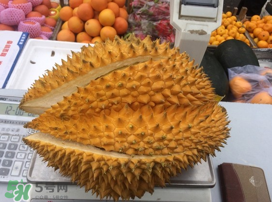 托曼尼榴蓮怎么才是熟？托曼尼榴蓮怎么看生熟？