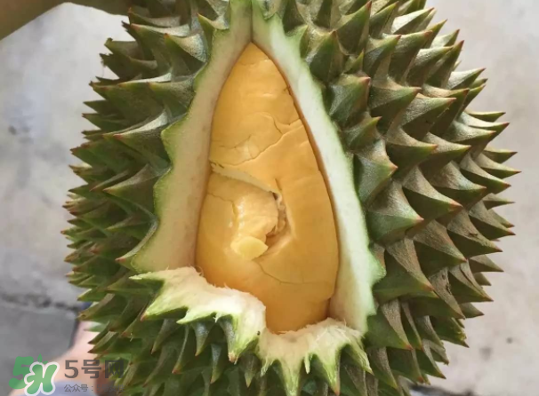 托曼尼榴蓮又叫什么？托曼尼榴蓮簡(jiǎn)介