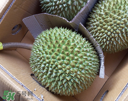 干堯榴蓮怎么樣算熟了？干堯榴蓮怎么挑選？
