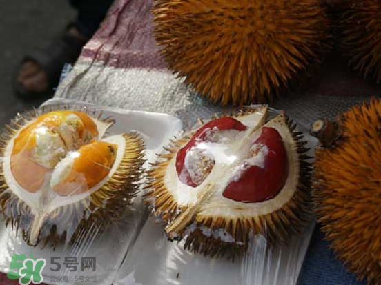 榴蓮核可以煲湯嗎？榴蓮核可以煲雞湯嗎？