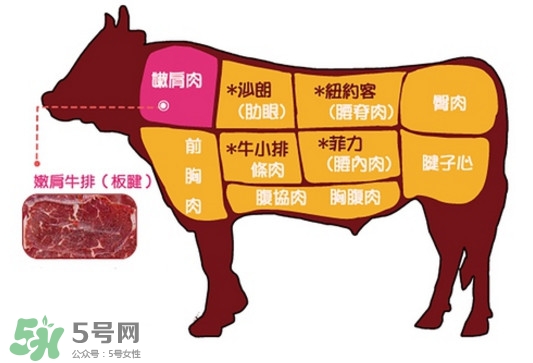 牛排是牛的哪個(gè)部位？牛排是牛身上哪塊肉？