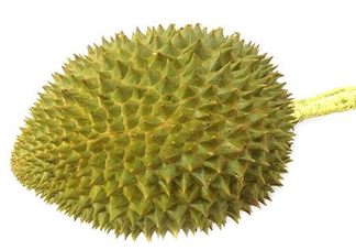 托曼尼榴蓮多少錢？托曼尼榴蓮是哪里的？