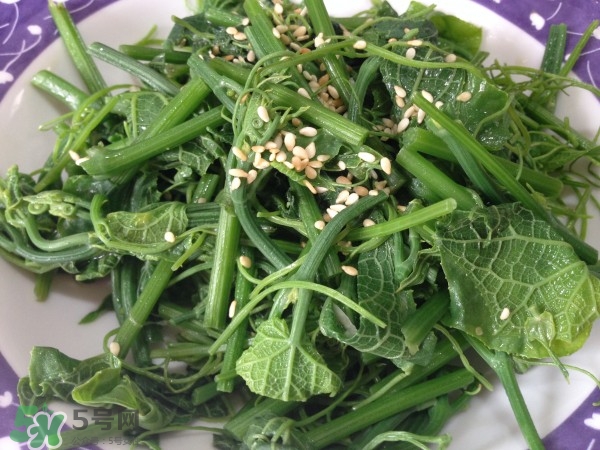 龍須菜怎么清洗？龍須菜怎么處理？