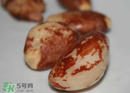 榴蓮核可以煲湯嗎？榴蓮核可以煲雞湯嗎？
