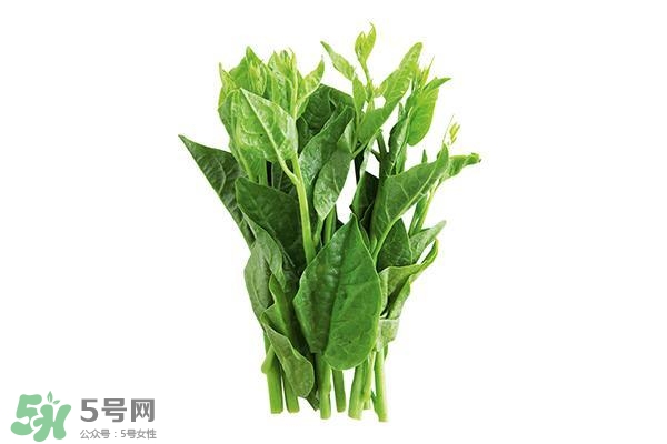 龍須菜有幾種？龍須菜多少錢一斤？