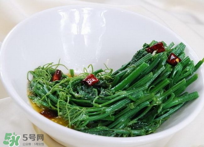 龍須菜是什么菜？龍須菜怎么吃？